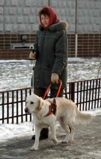 В Одессе нет средств на подготовку собак-поводырей